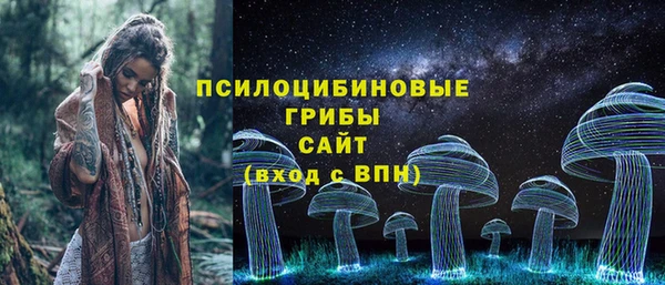 круглые Богородицк
