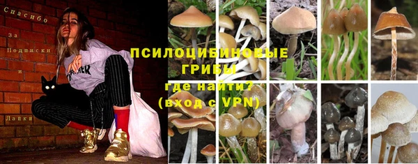 круглые Богородицк