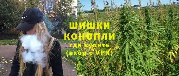 дживик Богданович