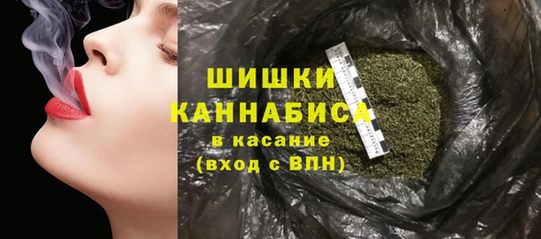 дживик Богданович