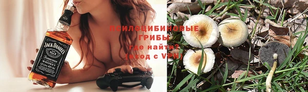 дживик Богданович