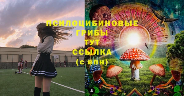 mix Туринск